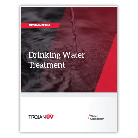 Thumbnail of TrojanUVSpring product brochure