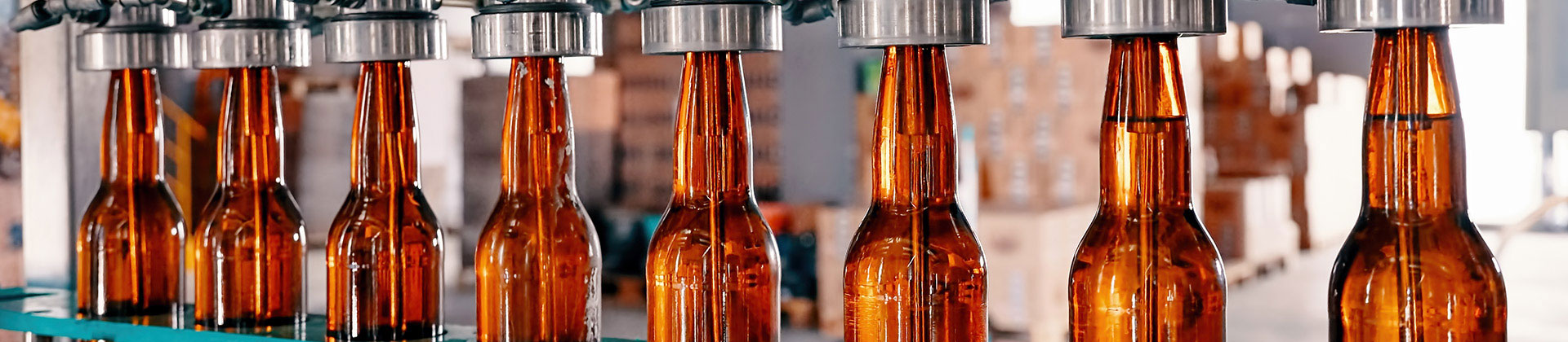 Beer bottles in an automated filling line.