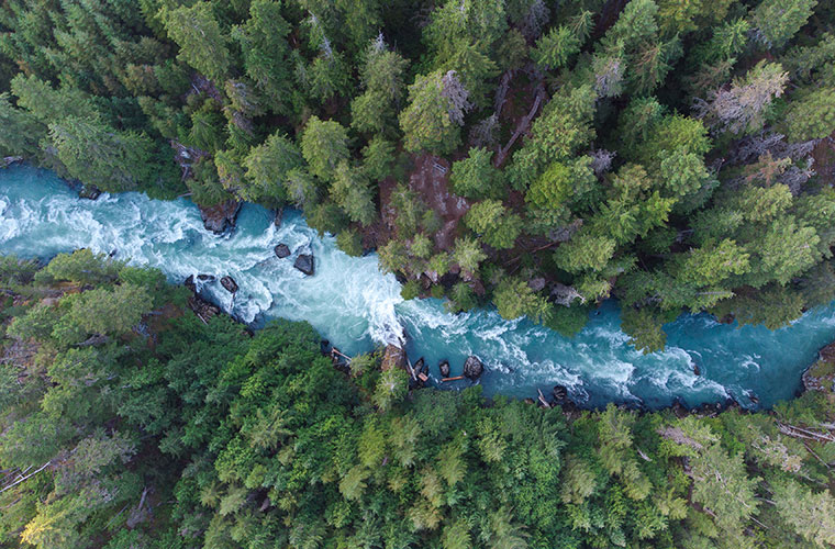 Aerial image of a stream flowing through a forest