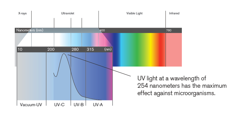 Chart showing wavelengths of light from X-rays to ultraviolet to visible to infrared