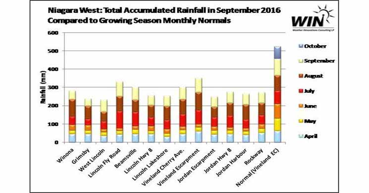 Niagara Accumulation Rainfall