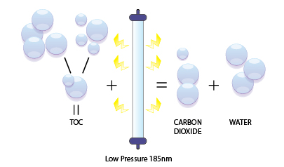 A graphic depicting total organic carbon reduction using UV disinfection technology