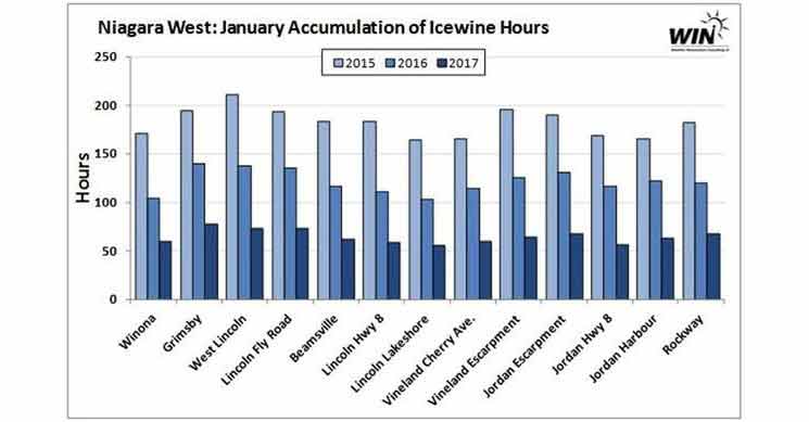 January accumulation of Ice Wine Hours