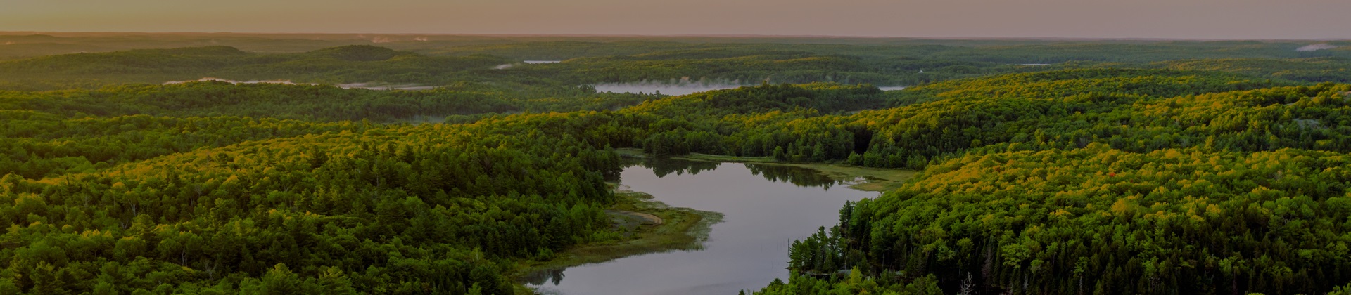 An aerial view of a dense, green forest interspersed with small lakes under a calm sky at dusk.