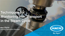 Techniques for Monitoring Iron Transport in the Steam Cycle