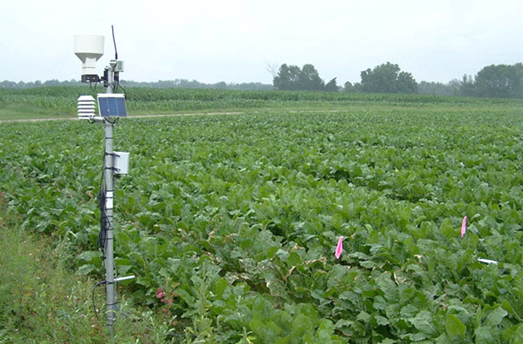 monitoring station for crops disease