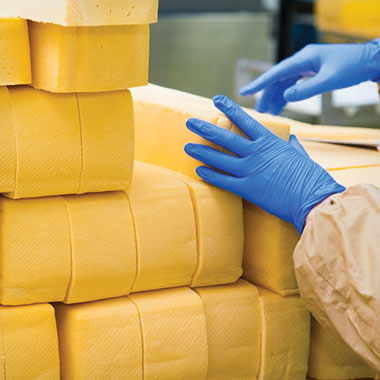 A worker stacks blocks of cheese at a dairy plant. In the dairy industry, TOC analyzers can aid in monitoring effluent organic waste and reducing product loss.
