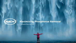 Maximizing Phosphorus Removal