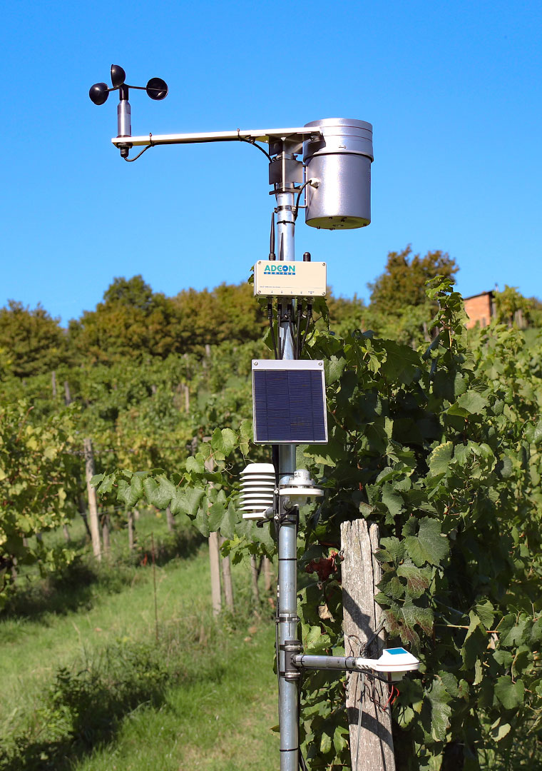 Wireless monitoring station with ADCON datalogger in vineyards