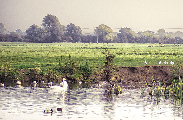 Water monitoring & research in Cambridgeshire, England